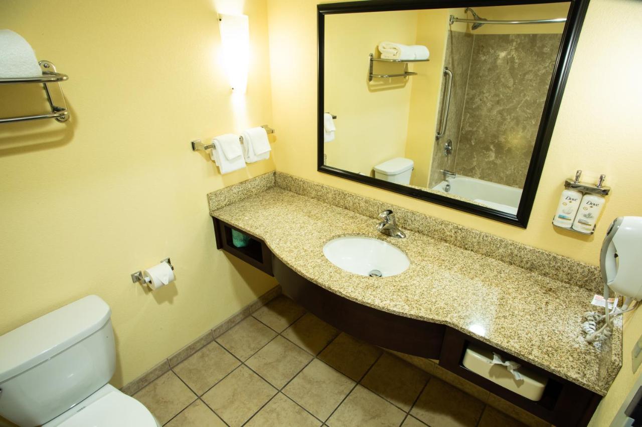 מכניקסבורג Holiday Inn Express & Suites Harrisburg West מראה חיצוני תמונה
