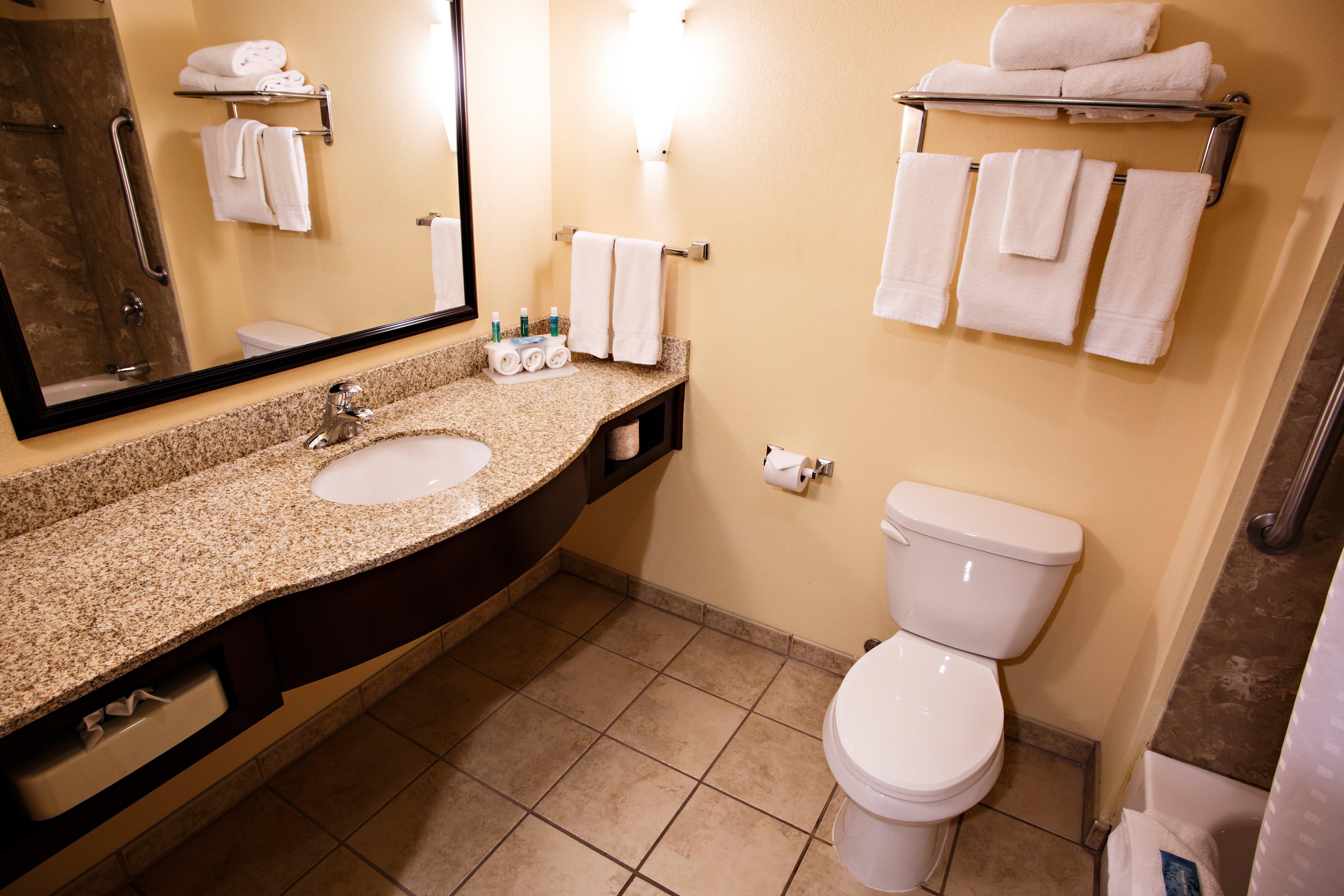 מכניקסבורג Holiday Inn Express & Suites Harrisburg West מראה חיצוני תמונה